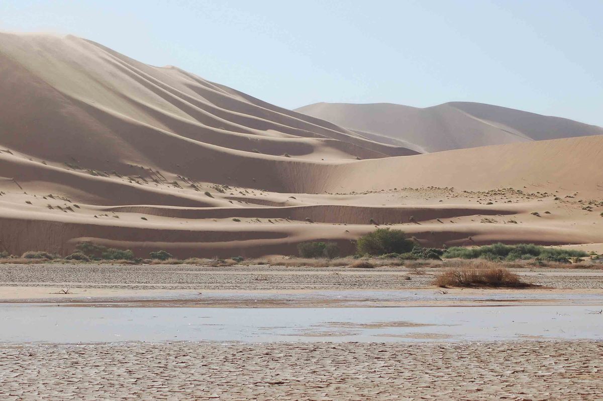 Self Drive Namibia (2022): 10 night Itinerary for Boutique Hotel Lovers 18 Namibia_sossusvlei-dunes-soft