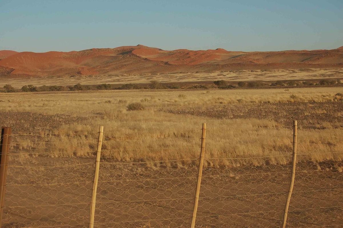 Self Drive Namibia (2022): 10 night Itinerary for Boutique Hotel Lovers 17 Namibia_sossusvlei-fence