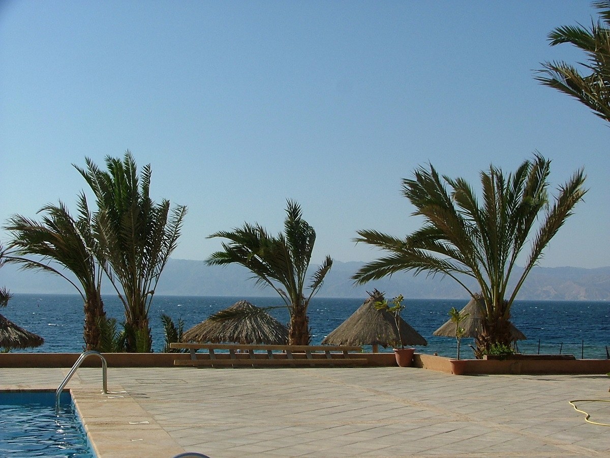 Jordan Itinerary for Boutique Hotel Lovers 5 jordan-aqaba-palm-trees-sea