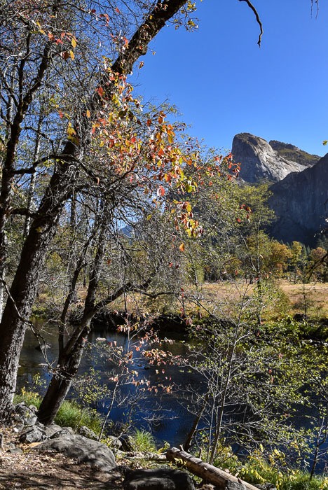 Yosemite in October: 16 Best Things to do 57 california_yosemite_autumn-leaves-mountain