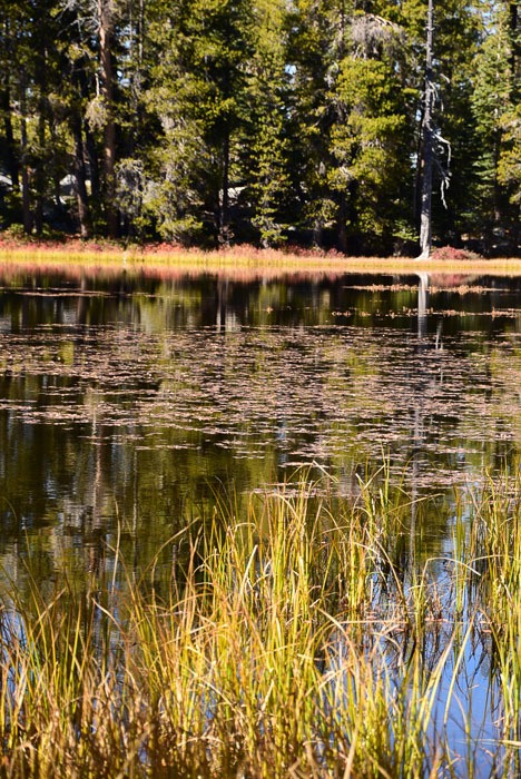 Yosemite in October: 16 Best Things to do 20 california_yosemite_siesta-lake-2