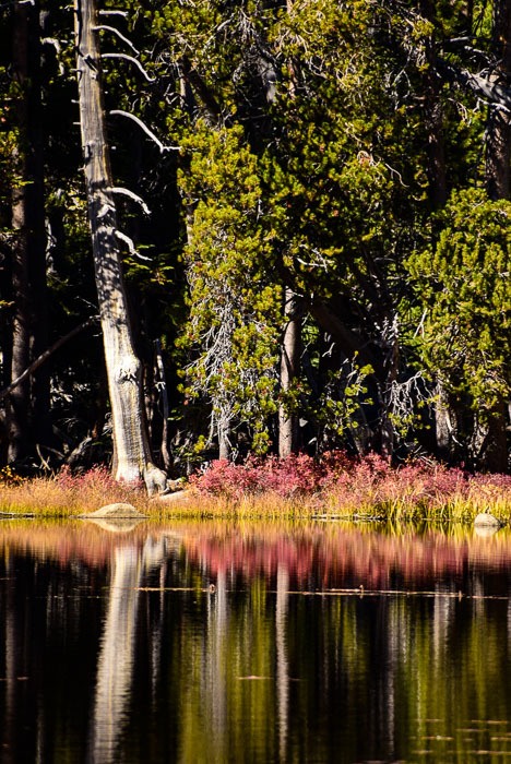 29 Most Popular National Parks in the United States You'll Love (2022) 37 california_yosemite_siesta-lake-3