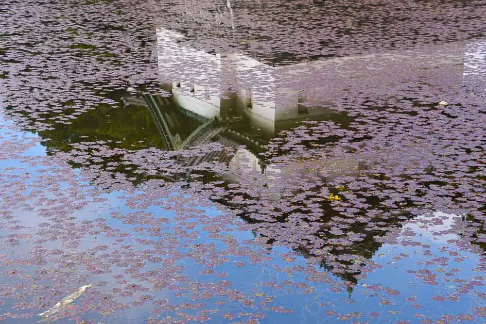 japan_tokyo_imperial-palace-tatsumi-watchtower-reflection