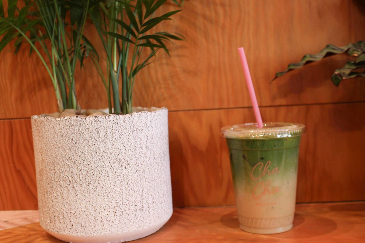 8 Best Things to do in Lower Manhattan By a Local 3 new_york_lower_manhattan_matcha-cup-plant