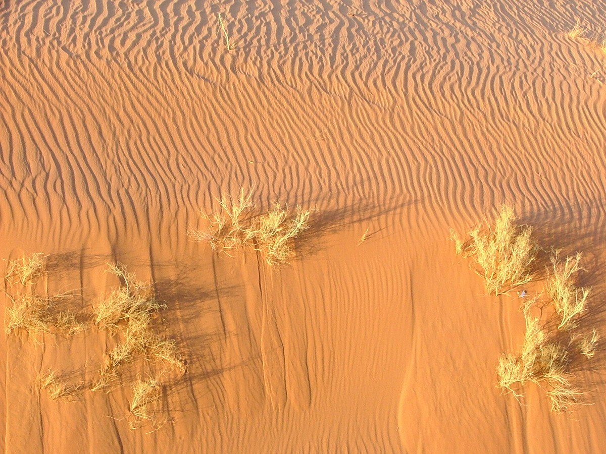 Jordan Itinerary for Boutique Hotel Lovers 4 jordan-wadi-rum-sand-patterns