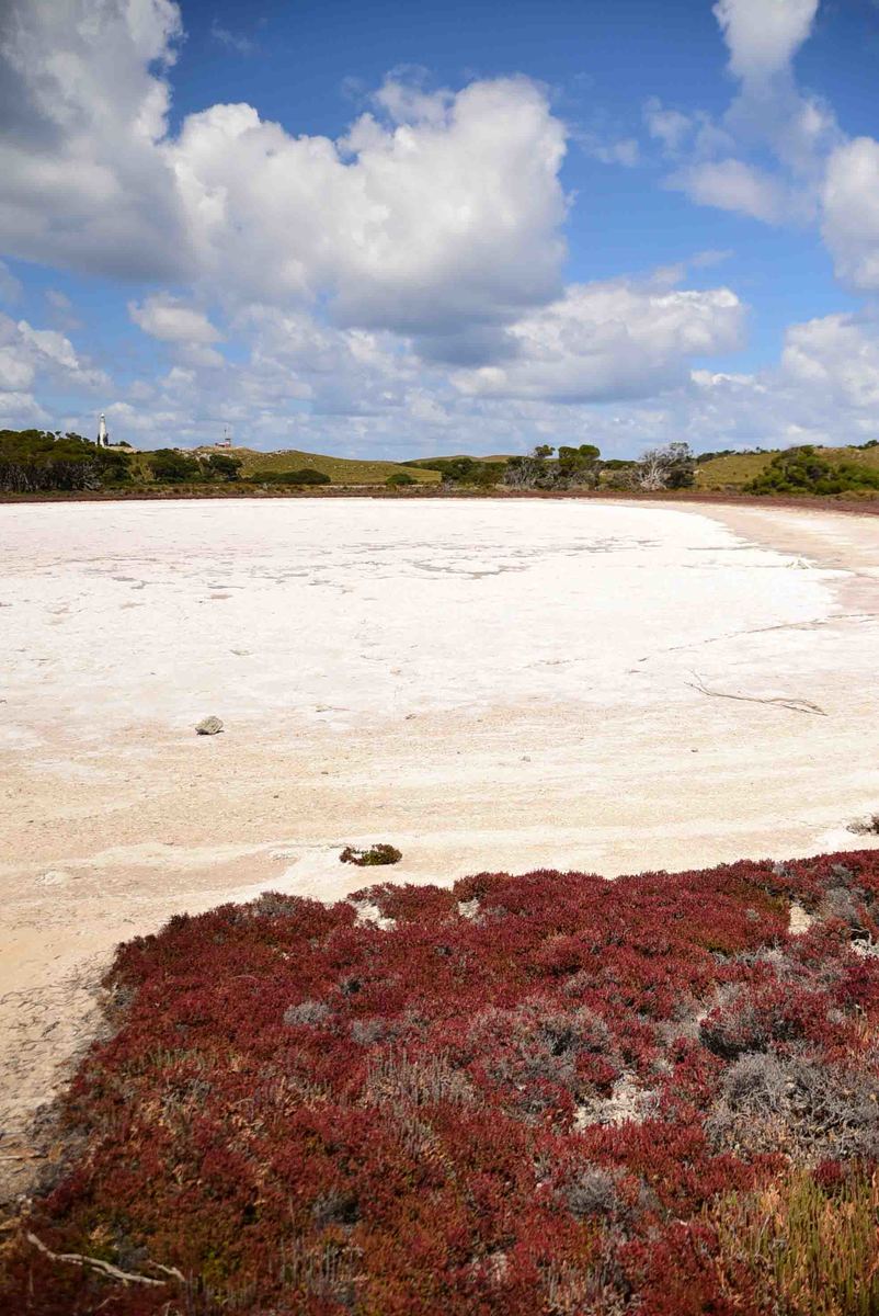 How to have the Best Rottnest Island Day Trip from a Local 26 Perth_rottnest_island_pink-lake-2
