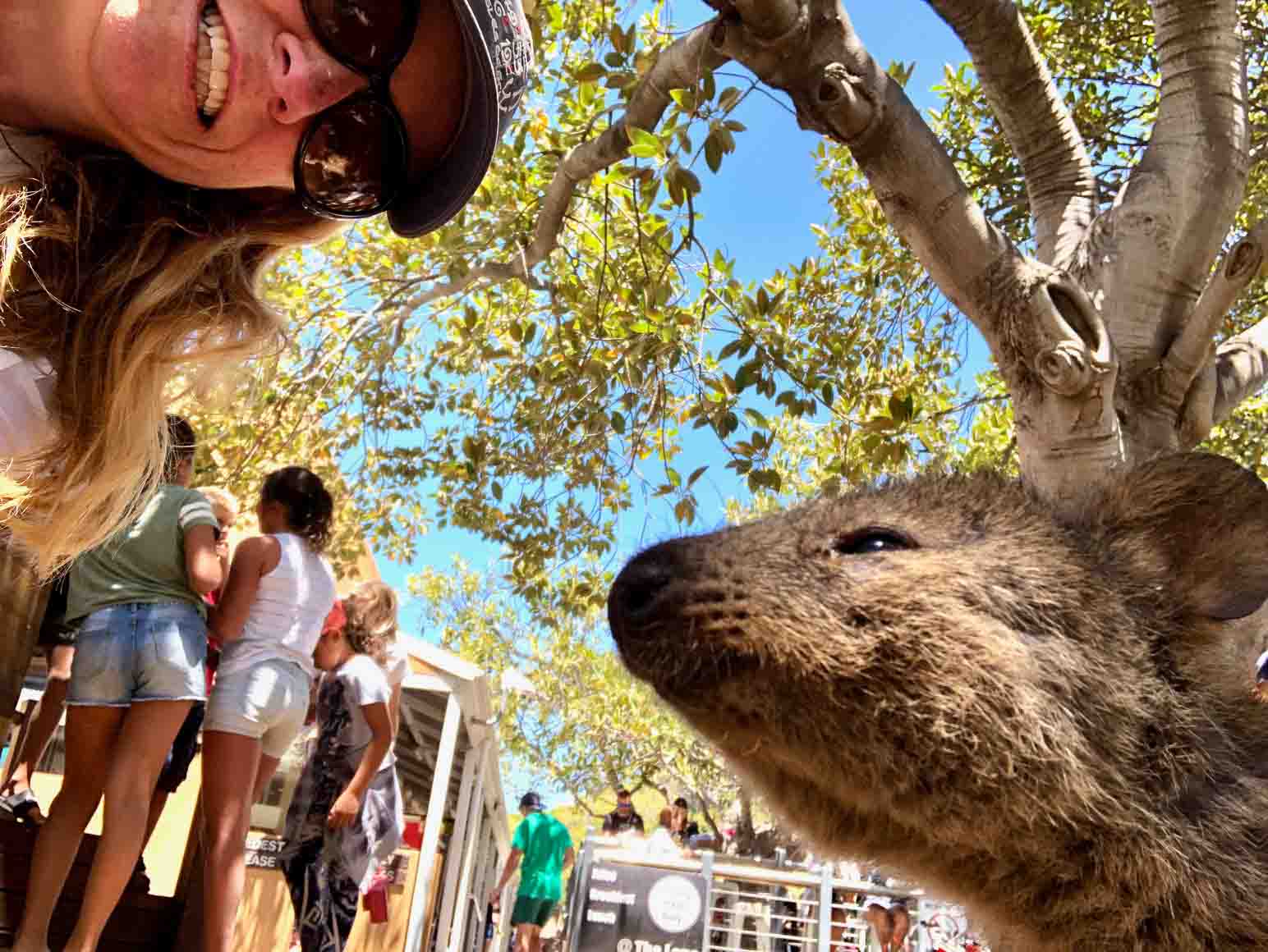 How to have the Best Rottnest Island Day Trip from a Local 11 Perth_rottnest_island_quokka-selfie