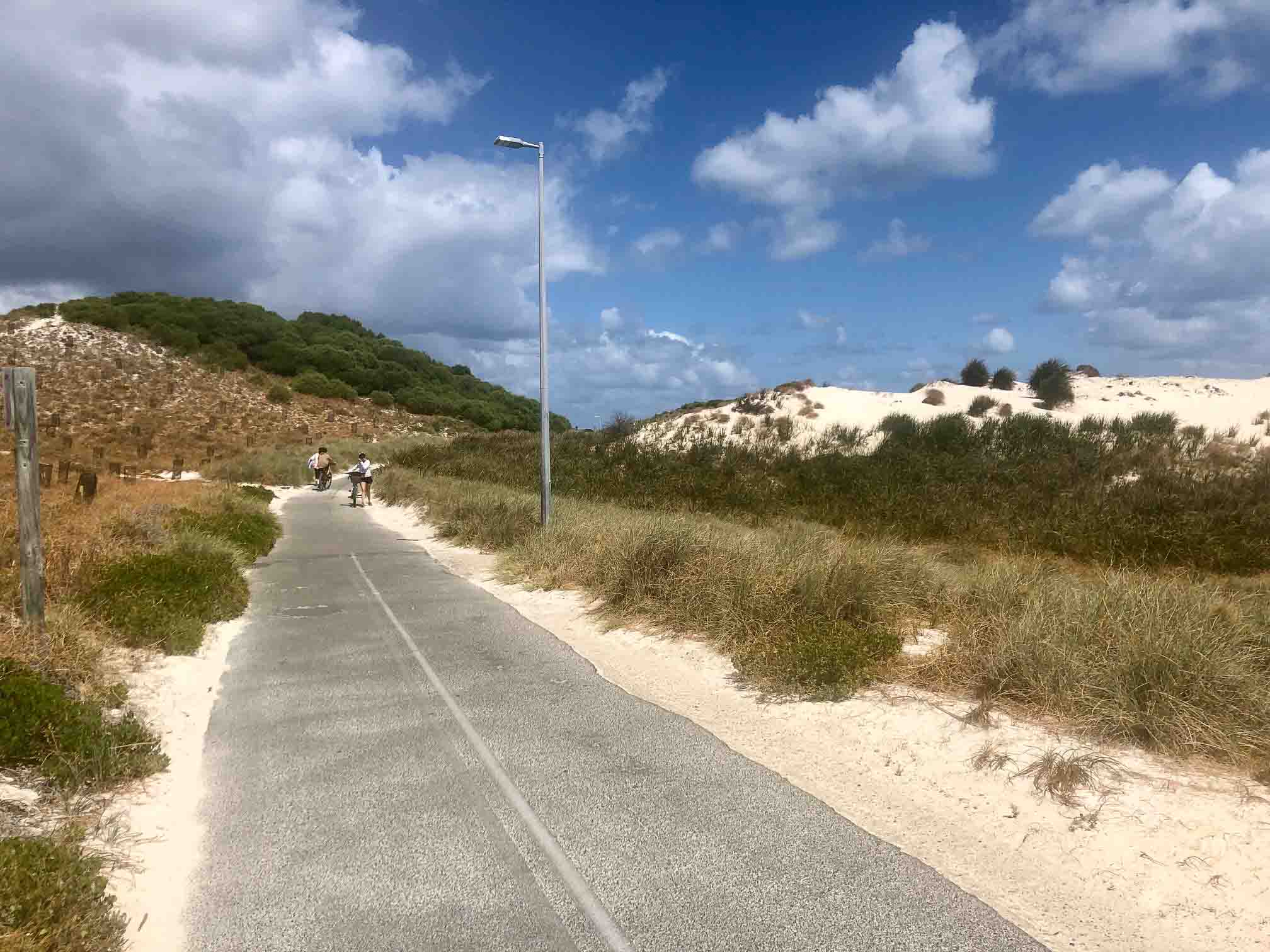 How to have the Best Rottnest Island Day Trip from a Local 28 Perth_rottnest_island_road