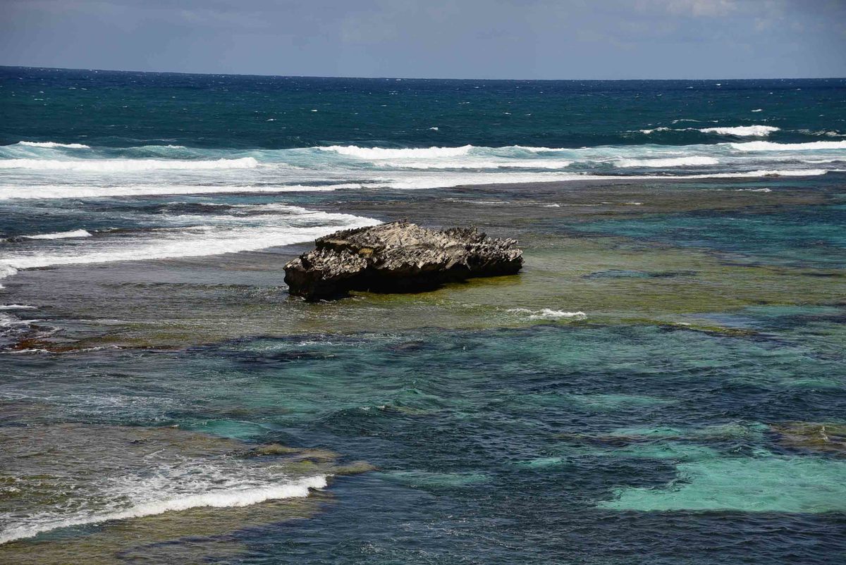 How to have the Best Rottnest Island Day Trip from a Local 29 Perth_rottnest_island_rock-in-water