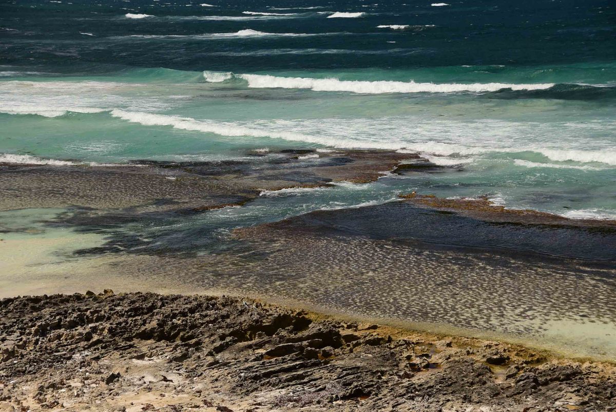 How to have the Best Rottnest Island Day Trip from a Local 30 Perth_rottnest_island_salmon-bay-2