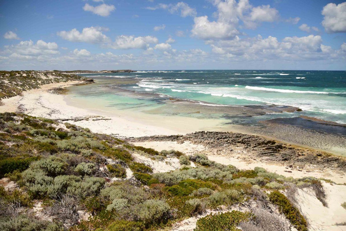 Perfect Perth Itinerary for 3, 5 or 7 Days 16 Perth_rottnest_island_salmon-bay-3