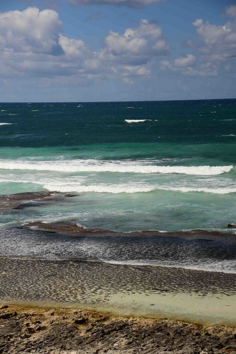 How to have the Best Rottnest Island Day Trip from a Local 9 Perth_rottnest_island_salmon-bay-5
