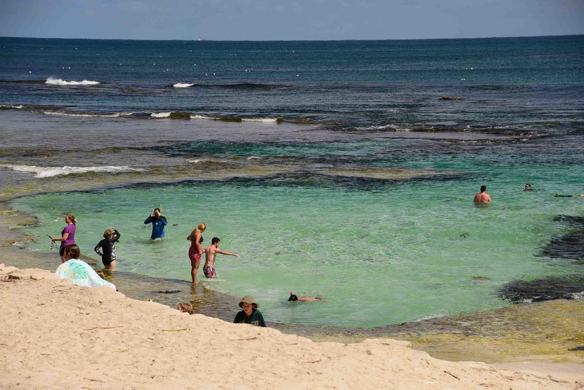 How to have the Best Rottnest Island Day Trip from a Local 10 Perth_rottnest_island_the-basin