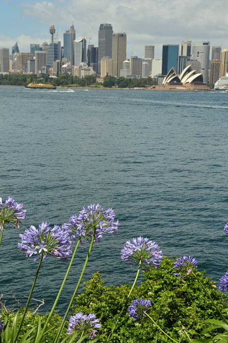 Perfect Sydney Itinerary: 3, 5 and 7 Days for Boutique Hotel Lovers 51 sydney_cremorne_walk-cbd-skyline