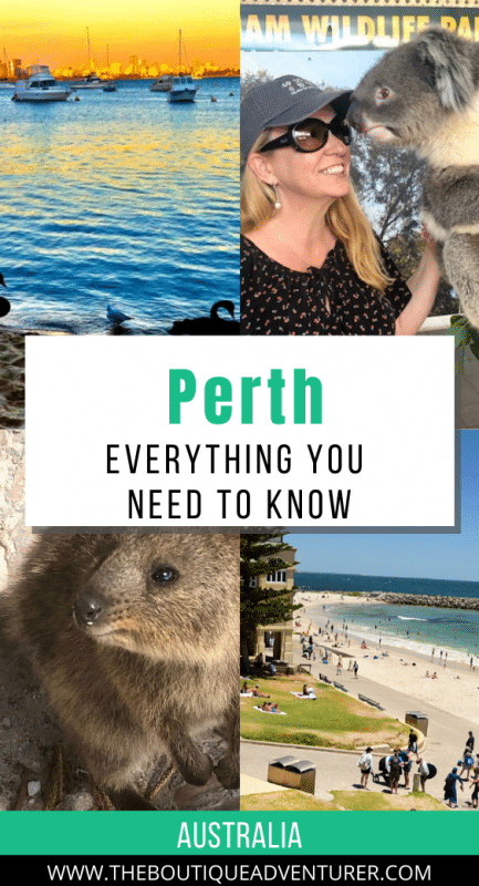 Perfect Perth Itinerary for 3, 5 or 7 Days 63 mix of images from perth australia - matilda bay at sunset, woman with koala bear, quokka and cottesloe beach