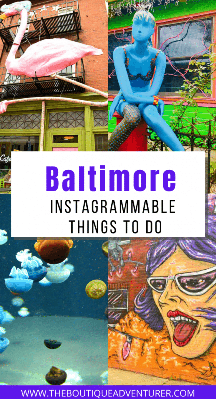 10 Baltimore Attractions Not to Miss 30 colourful images from baltimore - paper moon diner, flamingo in hampden, acquarium and street art