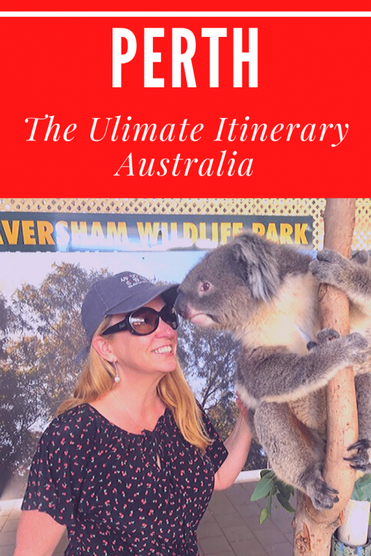 woman with her face touching a koala bear 