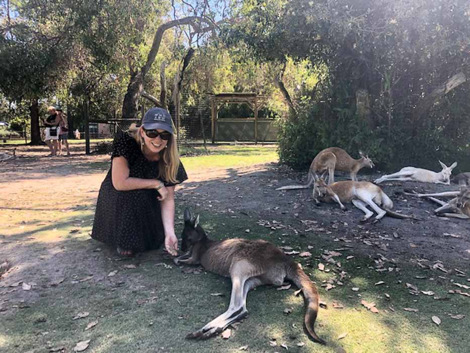 Perfect Perth Itinerary for 3, 5 or 7 Days 29 perth-caversham-kangaroos