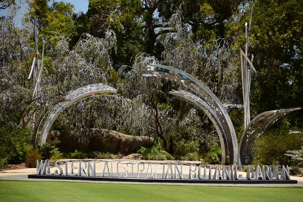Perfect Perth Itinerary for 3, 5 or 7 Days 12 perth_kings-park_sculpture