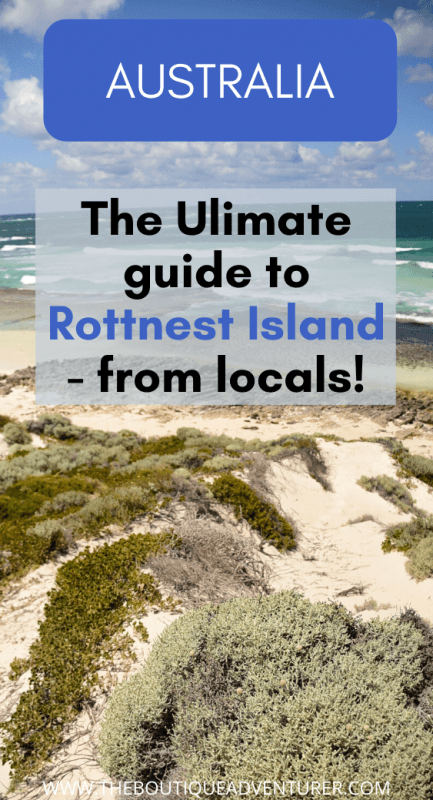 How to have the Best Rottnest Island Day Trip from a Local 32 waves and sand rottnest island beach perth australia