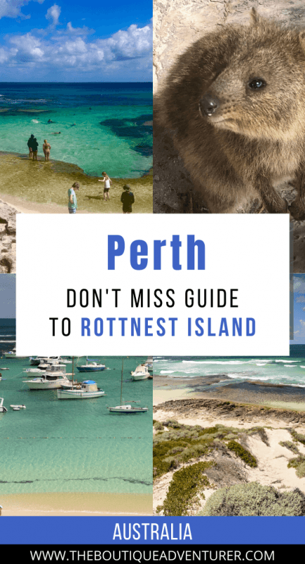 Quokka, the basin, beach and boats on the sea rottnest island west australia