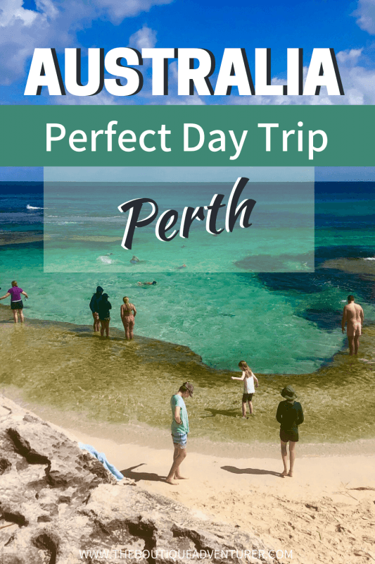 How to have the Best Rottnest Island Day Trip from a Local 36 people on the basin beach rottnest island perth west australia