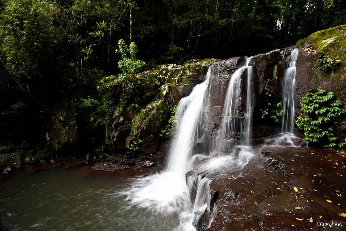Gold Coast Itinerary: 3 Days for Adults 15 Bahnamboola Falls at Lamington Park
