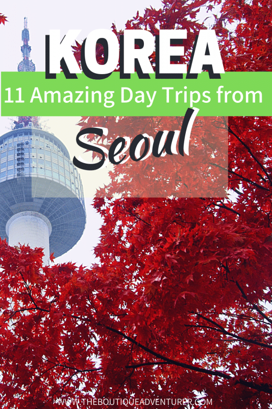 11 Best Seoul Day Trips You Won't Forget 27 red leaves on a tree with seoul tower in the bckground korea