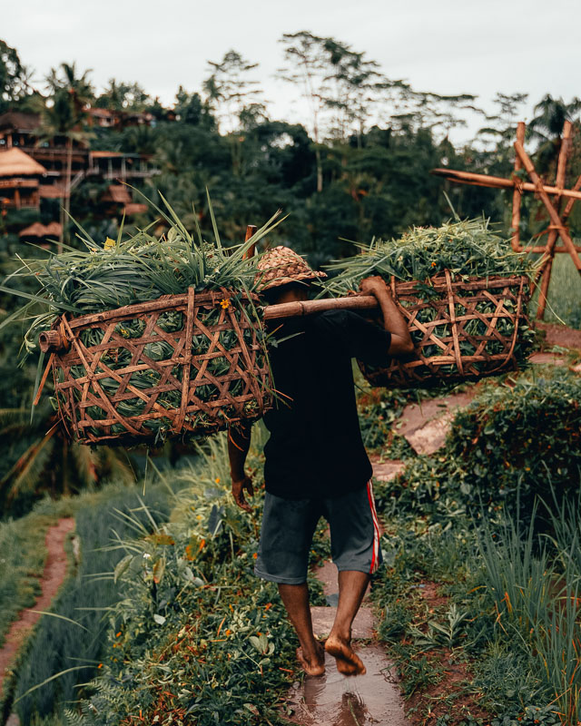 Where to Stay in Ubud: 5 Stunning Resorts 4 man with baskets in bali
