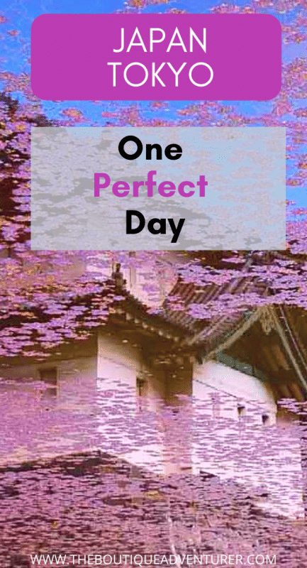 imperial palace reflected in water with pink petals