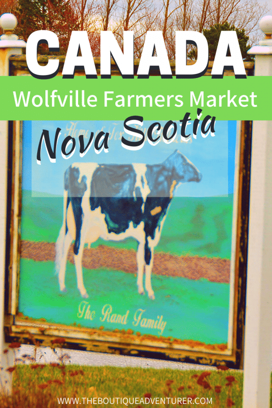 cow sign outside foxhill farm