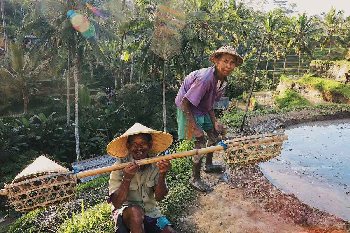 Where to Stay in Ubud: 5 Stunning Resorts 19 Men in rice fields Indonesia Bali Ubud