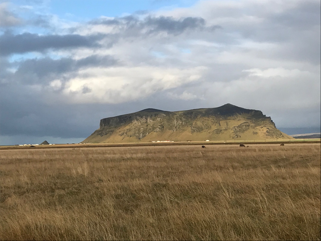 brush and small mountain in distance in iceland
