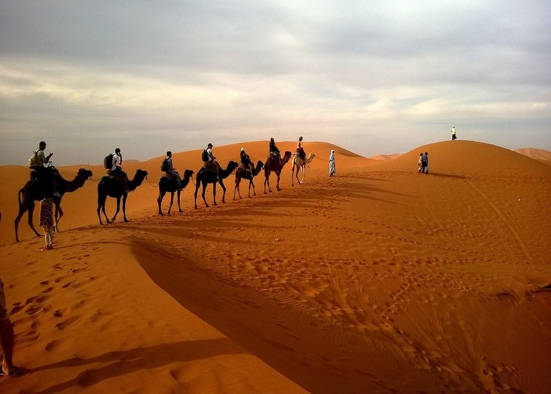 a morning desert safari dubai group on camels on the sand
