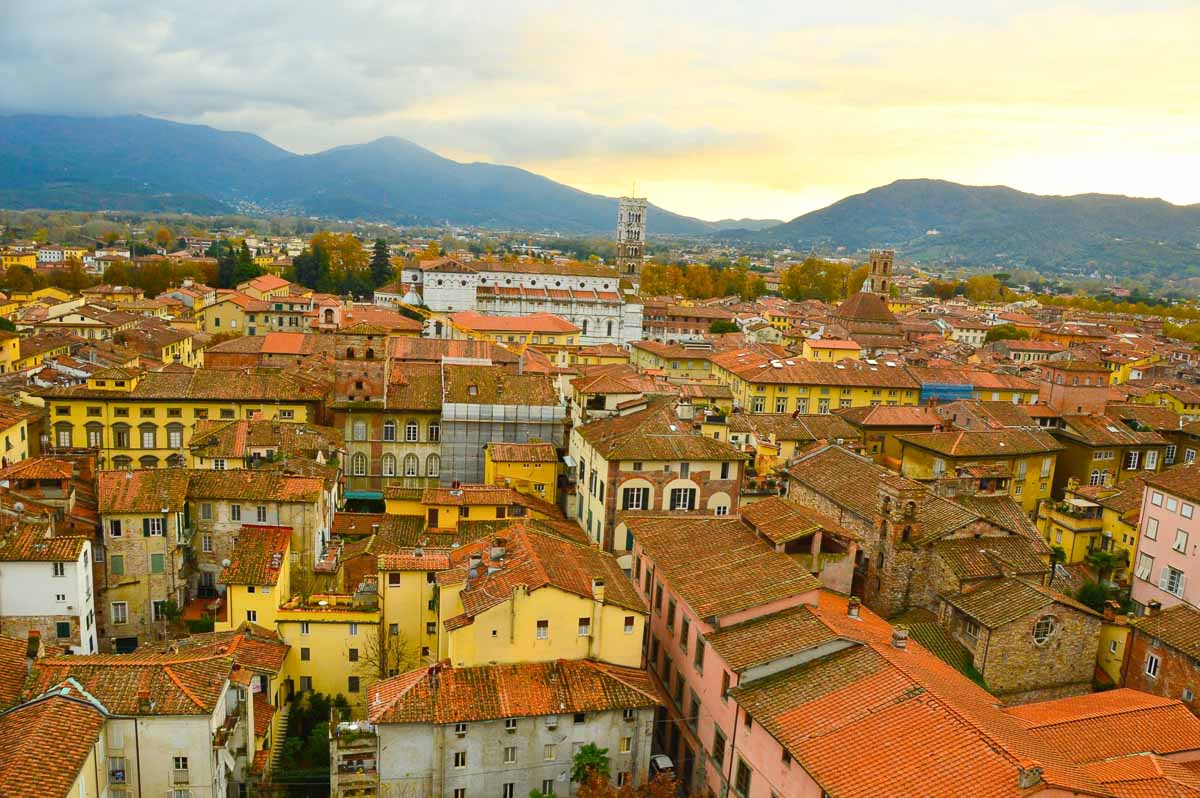Lucca rooftops 1
