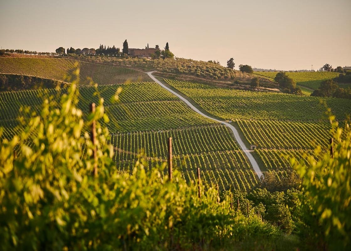 Tuscany-winery