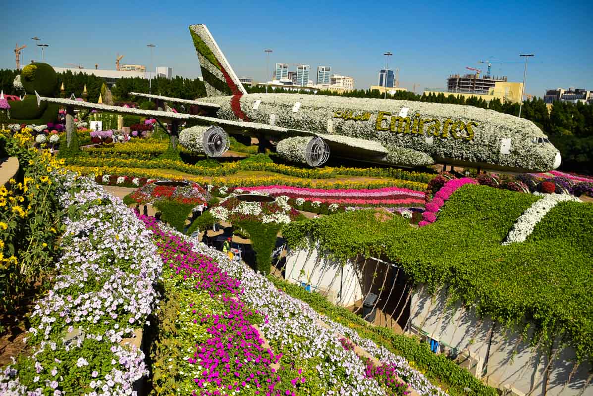 Emirates plane made from flowers in the Dubai Miracle Garden part of my Dubai Itinerary