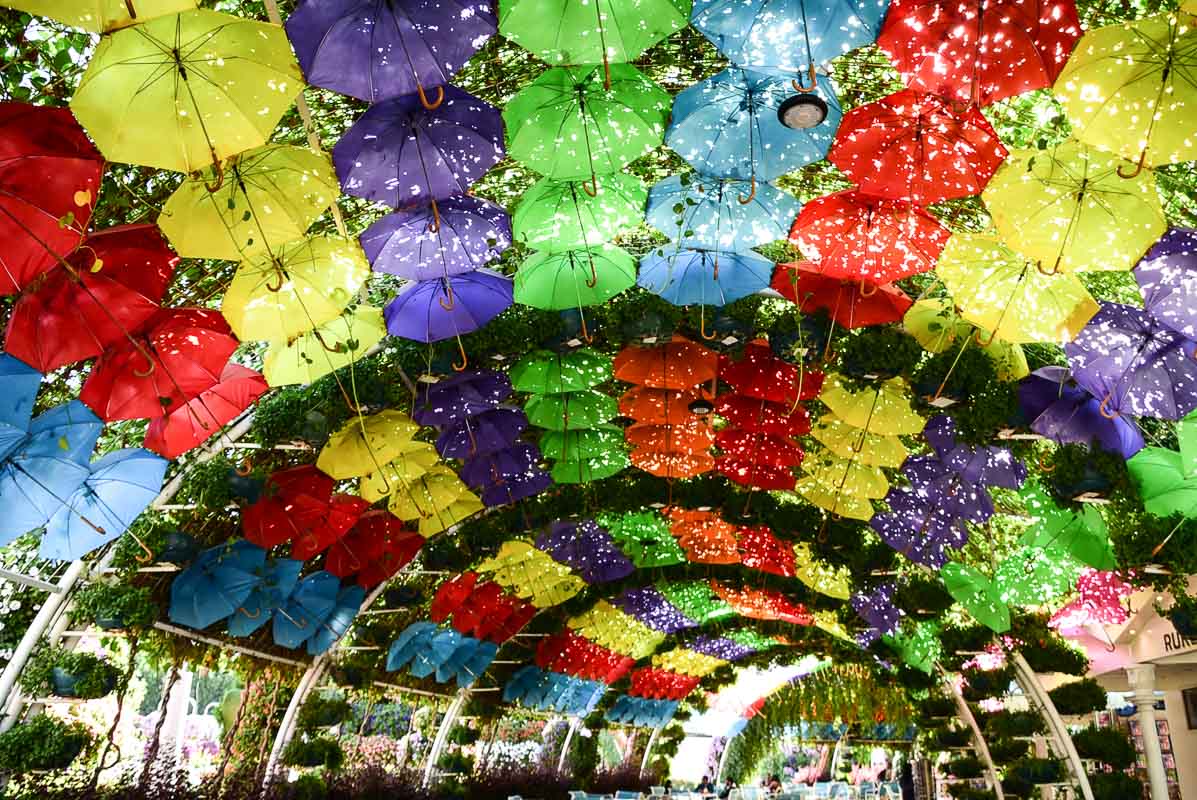 3 Day Dubai Itinerary for First Time Visitors 35 dubai miracle garden umbrella arches
