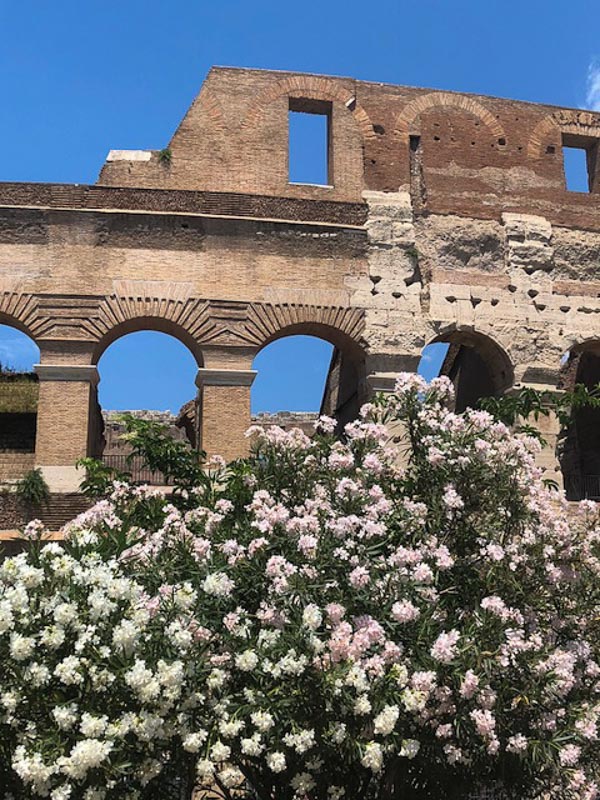 Skip the Line Colosseum Guide: What you Need to Know 5 Rome Colosseum white flowers