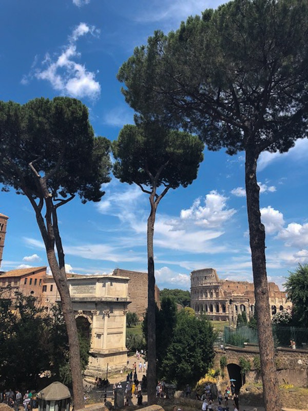Skip the Line Colosseum Guide: What you Need to Know 12 roman forum 4