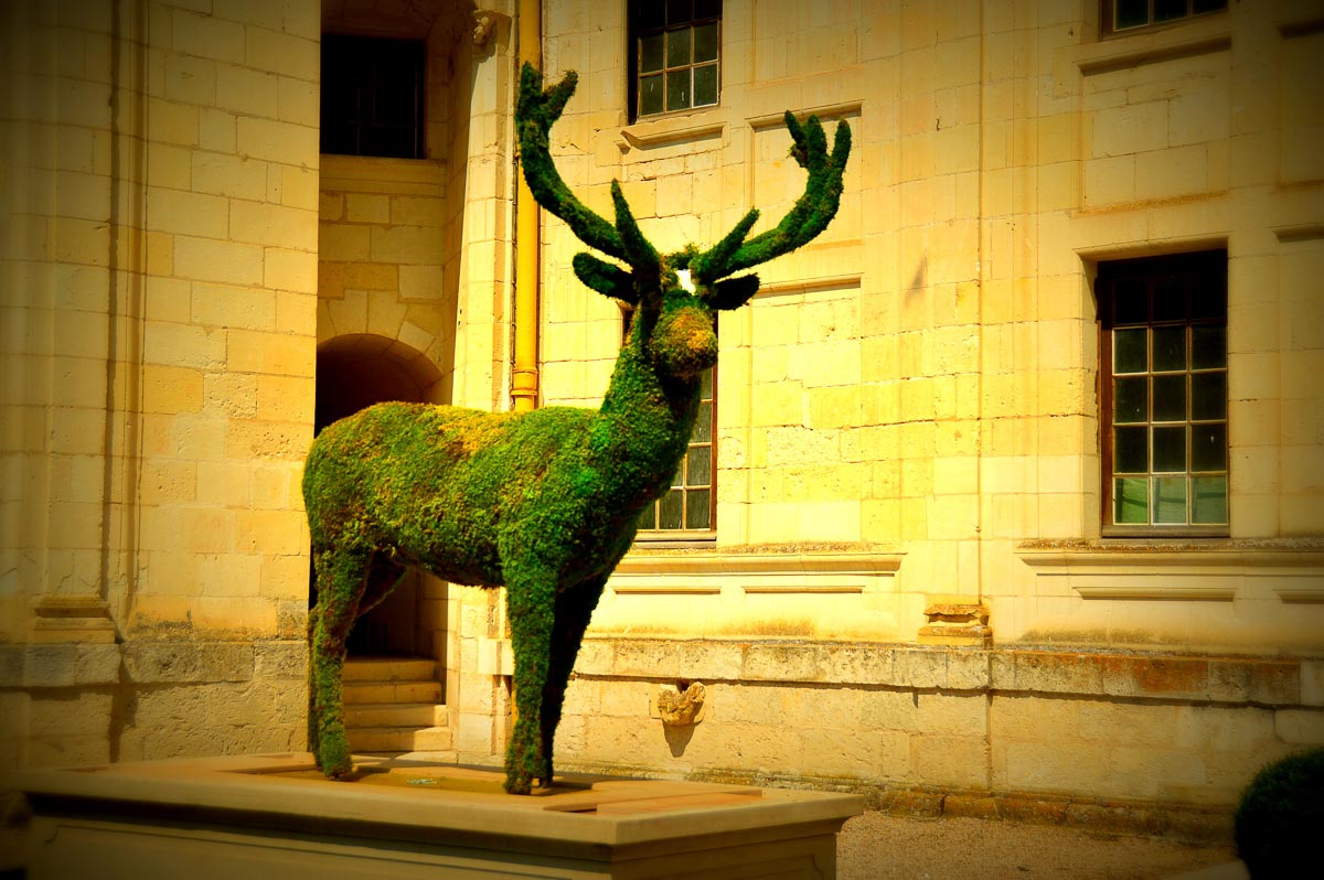 topiary stag at Chambord Palace