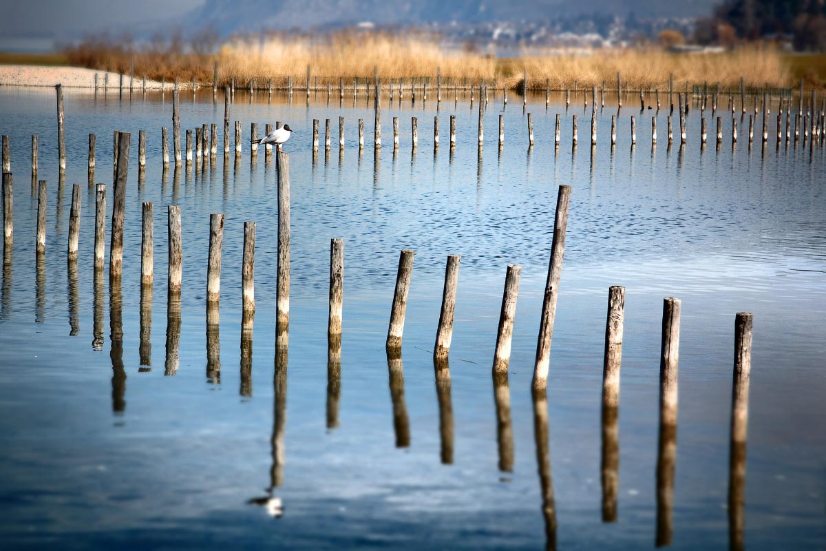 13 Magical Lakes in France That Will Enchant You 19 Lac du Bourget France