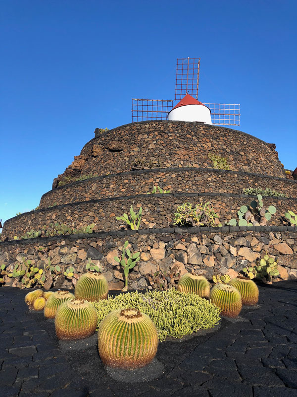 29 Best Things to do on Lanzarote That You Won't Want to Miss 32 Lanzarote cactus garden with windmill