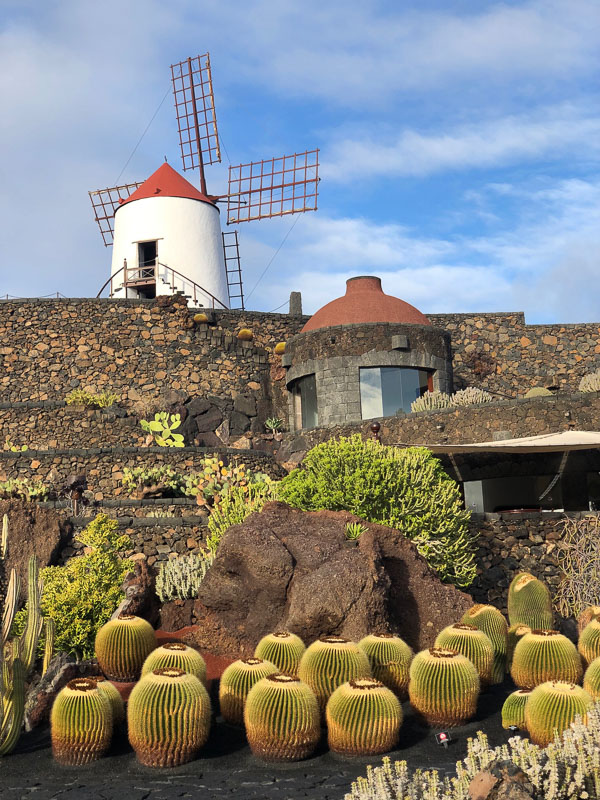 29 Best Things to do on Lanzarote That You Won't Want to Miss 1 Lanzarote cactus garden