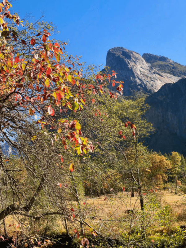 13 Lakes in Southern California (2022) You Should Visit 2 yosemite in october