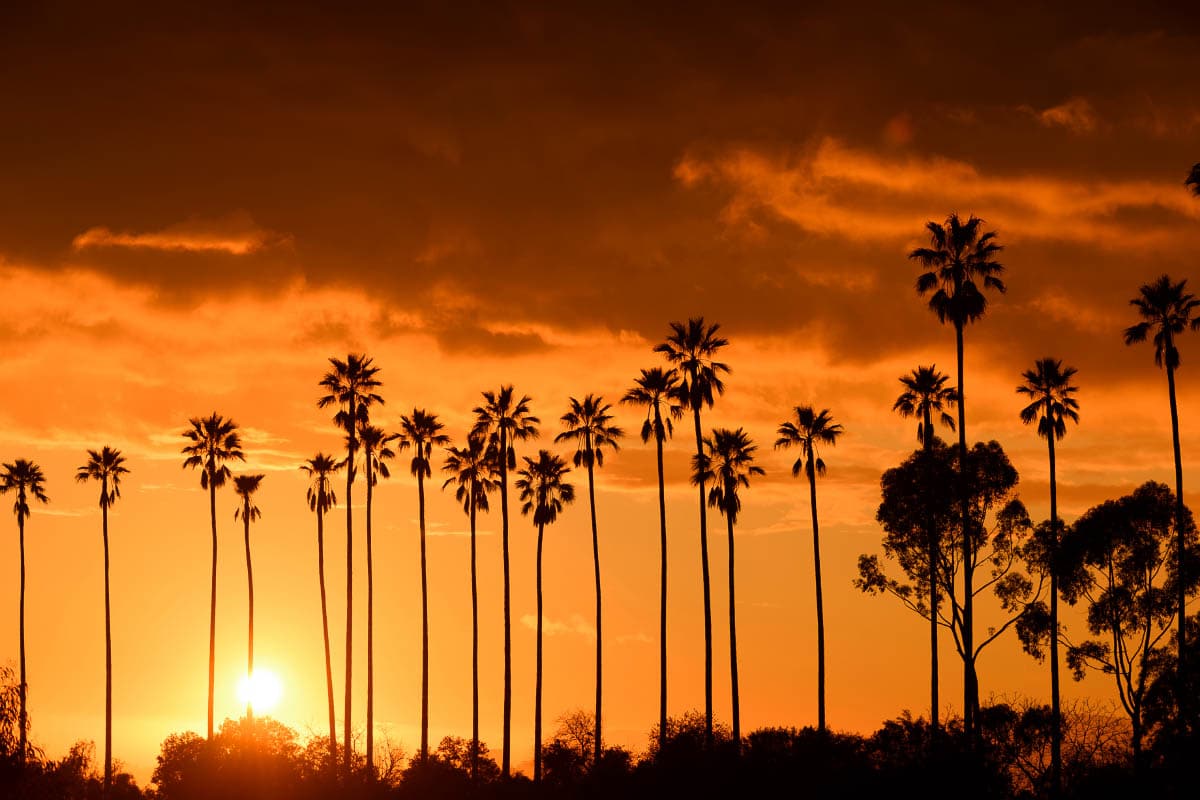 What Time Does The Sunset In California In Summer