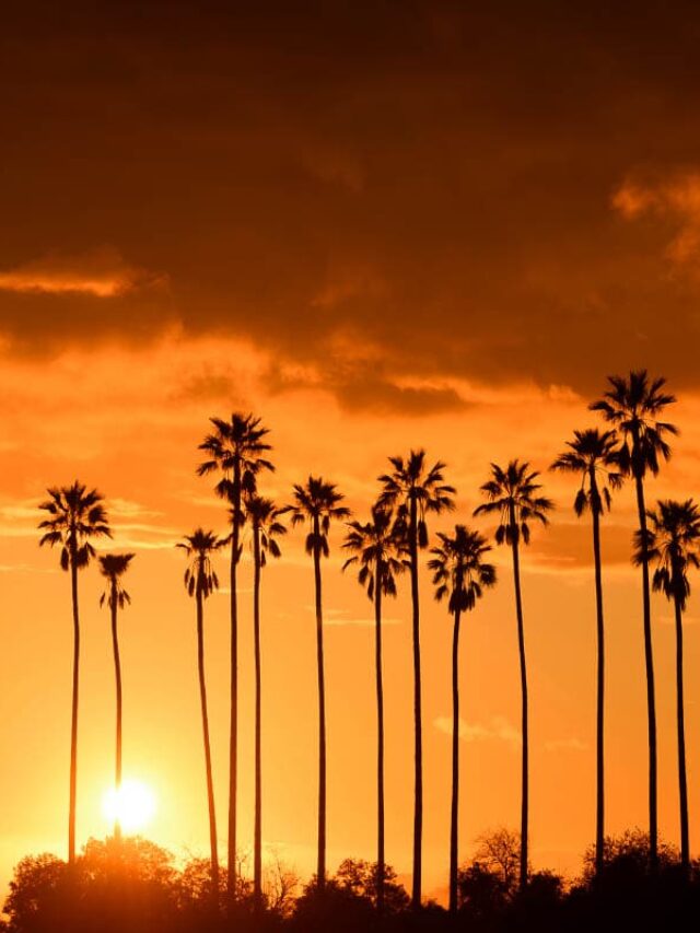 7-perfect-spots-to-watch-the-sunset-in-california