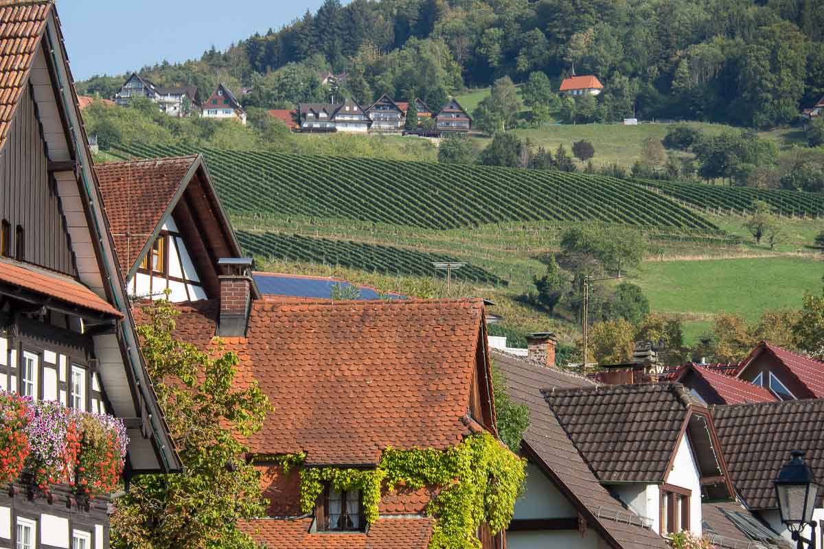 What is Germany Famous For? 31 German Claims to Fame 6 Black Forest Rooftops Germany