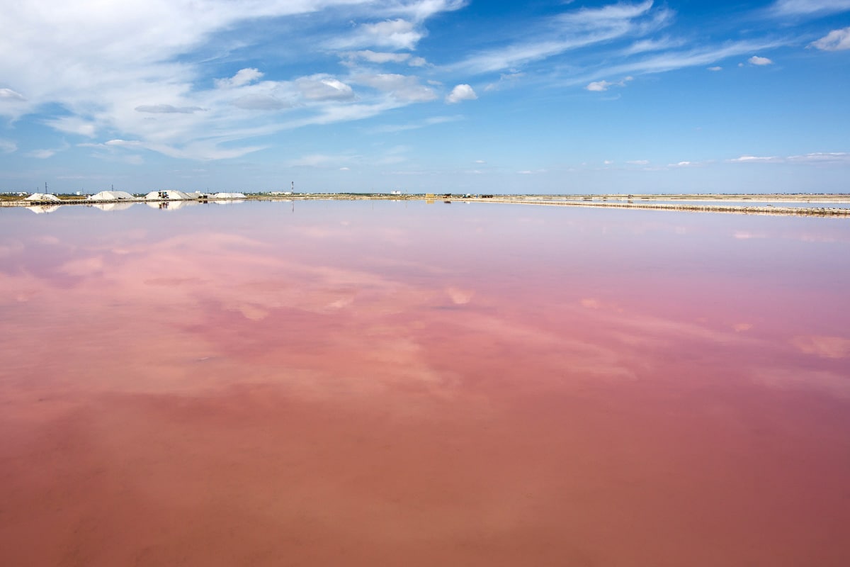 37 Famous Landmarks in France You Must See (in 2023) 59 Pink lakes of the Camargue France