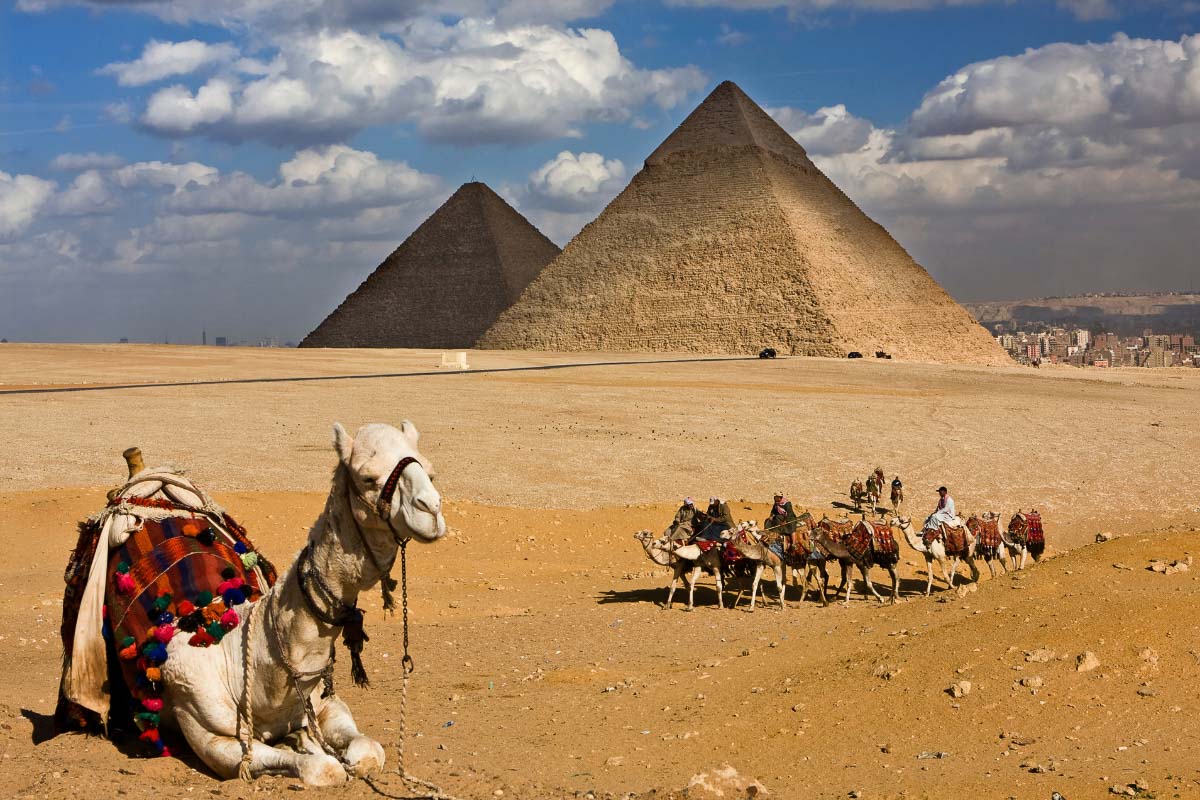 128 Most Famous Landmarks in the World (2022) I How Many Have You Visited? 17 camels at the pyramids in egypt